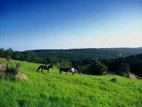 Affordable Luxury South African Holiday